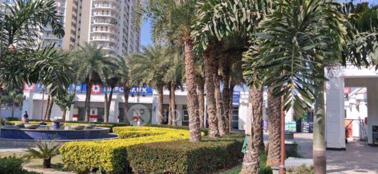 Shop in Park Street Shops, Gurgaon for Rent 