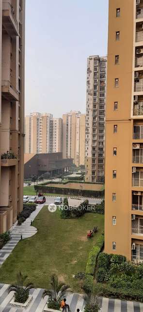 3 BHK Flat In Parthera for Rent  In Sector 137
