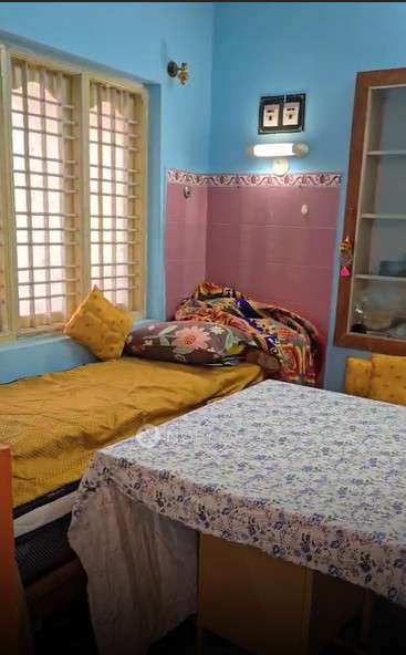 PG for Girls in Teletubbies Play School