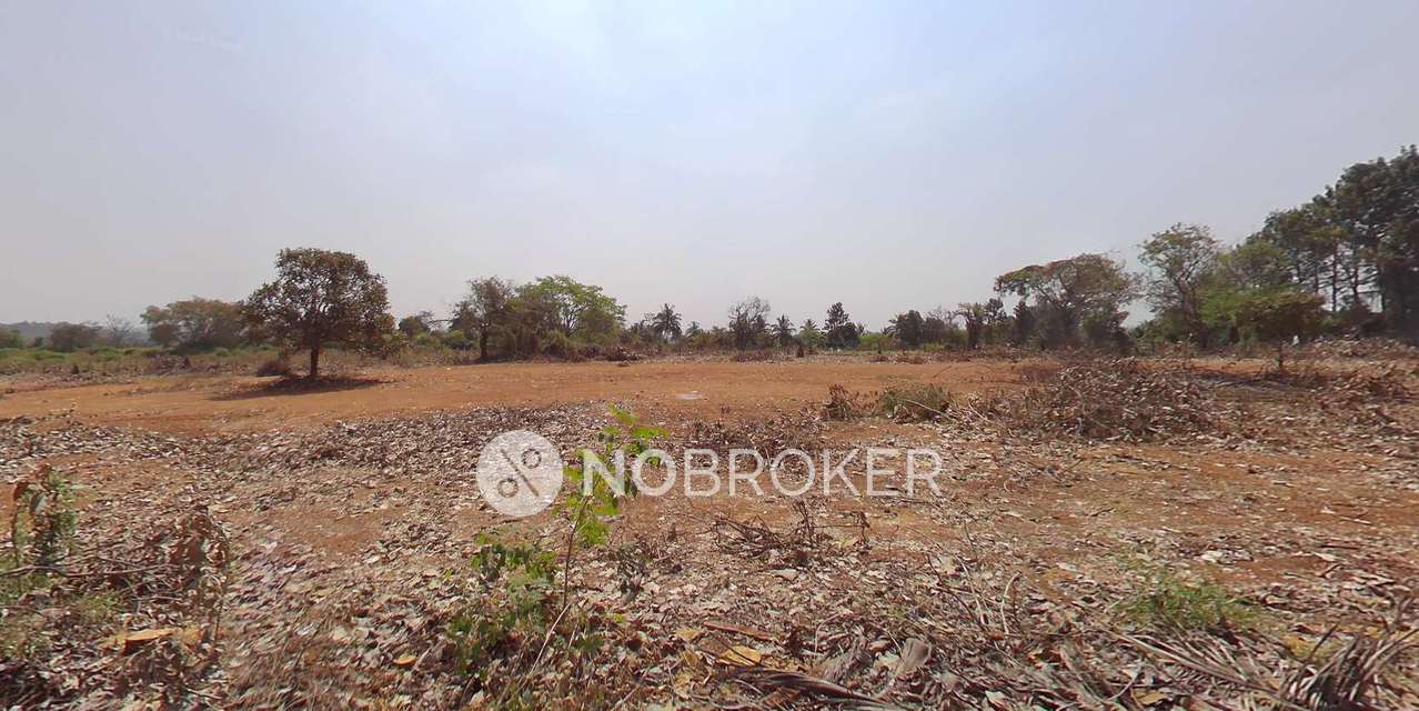 3 BHK Flat In Srinidhi Apartments for Rent  In Konanakunte