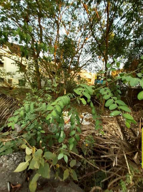 Plot For Sale  In Freehold Plot In Karve Nagar