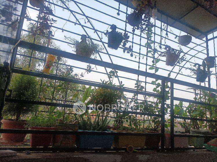 1 BHK for Rent  In Mundhwa