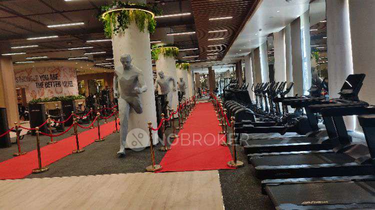 3 BHK Flat In The Central Park for Rent  In The Central Park