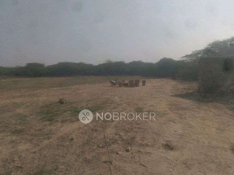 Plot For Sale  In Noida-sector 79 Branch & Atm