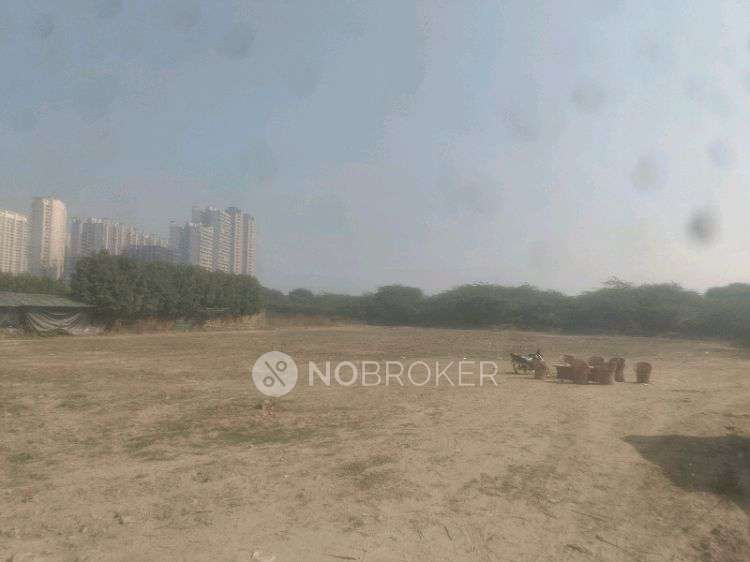Plot For Sale  In Noida-sector 79 Branch & Atm