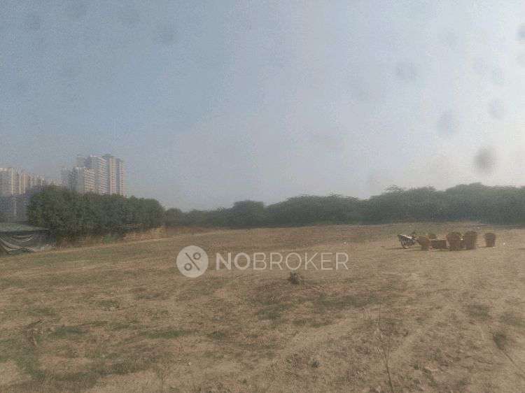 Plot For Sale  In Noida-sector 79 Branch & Atm