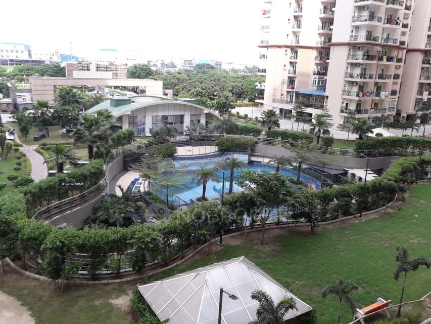 2 BHK Flat In Saviour Greenarch For Sale  In  Amrapali Dream Valley, 
