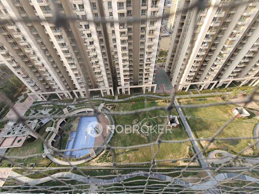 3 BHK Flat In Gaur Sportwood Arcade, For Sale  In Sector 79