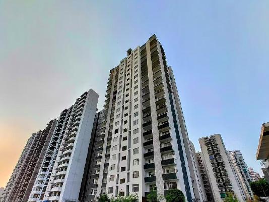 3 BHK Flat In Avs Orchard For Sale  In Sector 77