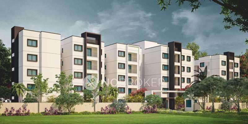 2 BHK Flat In Land Capital Calista, Anantapuram for Rent  In Anantapuram
