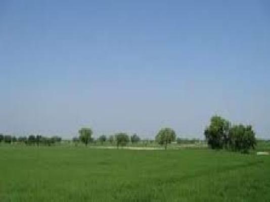 Plot For Sale  In Yamuna Express Way Industrial Development Authority Greater Noida