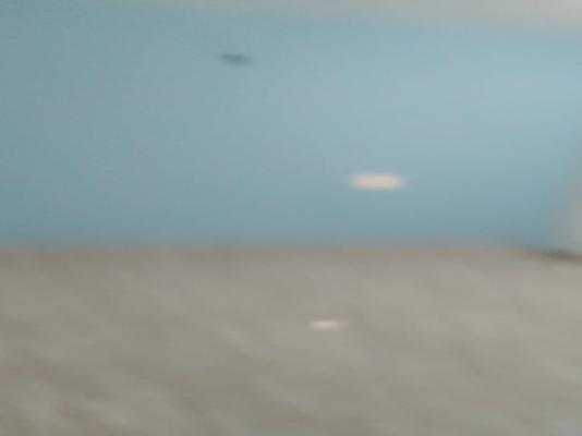 1 BHK House for Rent  In Lohegaon