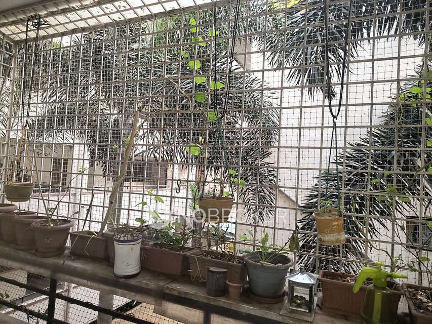 2 BHK Flat In Sri Parvata Sharavathi for Rent  In Roopena Agrahara