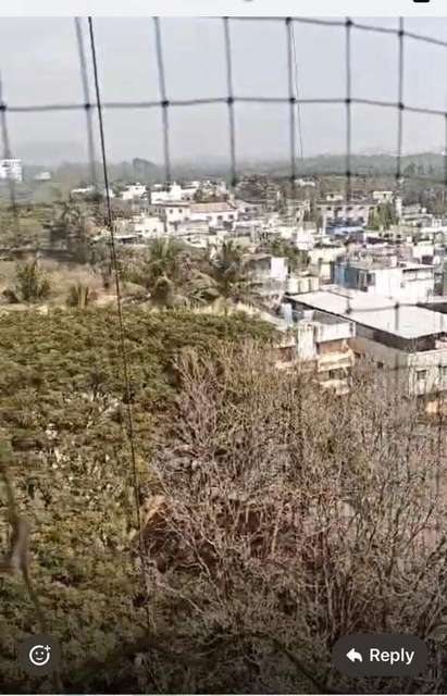 2 BHK Flat In Goel Ganga Kalash, Kalas for Rent  In Kalas