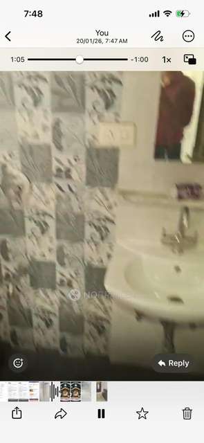 2 BHK Flat In Goel Ganga Kalash, Kalas for Rent  In Kalas