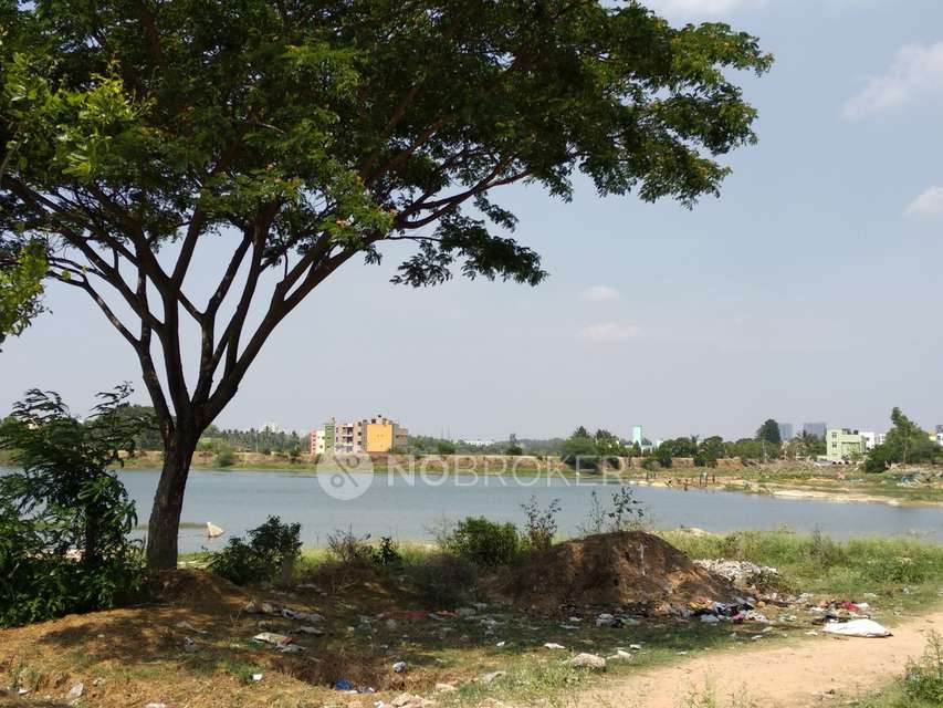 2 BHK Flat In Cosmos Nandana for Rent  In Kithiganur