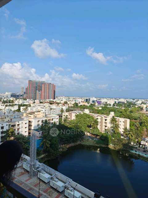 2 BHK Flat In Risland The Ace for Rent  In Chateau D Ampa, Nelson Manickam Road, Above Mgm Healthcare, Thirumalai Nagar Annexe, Perungudi, Chennai, Tamil Nadu 600096, India