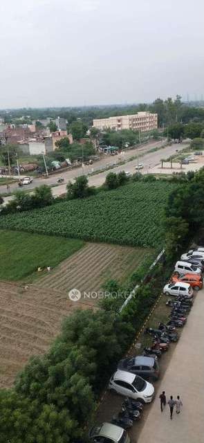 3 BHK Flat In Conscient Habitat For Sale  In Sector 78