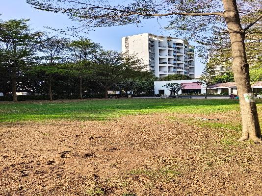 2 BHK Flat In Kumar Park Infinia  for Rent  In Gurudatta Nagar