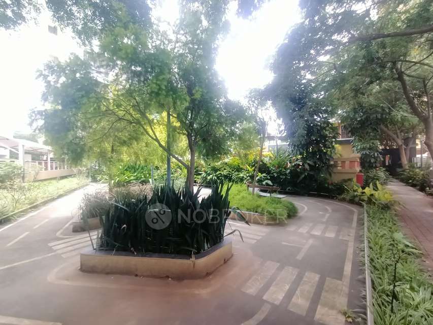 2 BHK Flat In Pethkar Siyona for Rent  In Punawale