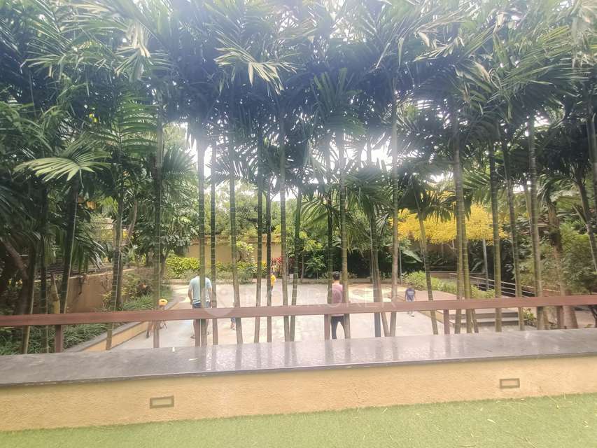 2 BHK Flat In Pethkar Siyona for Rent  In Punawale