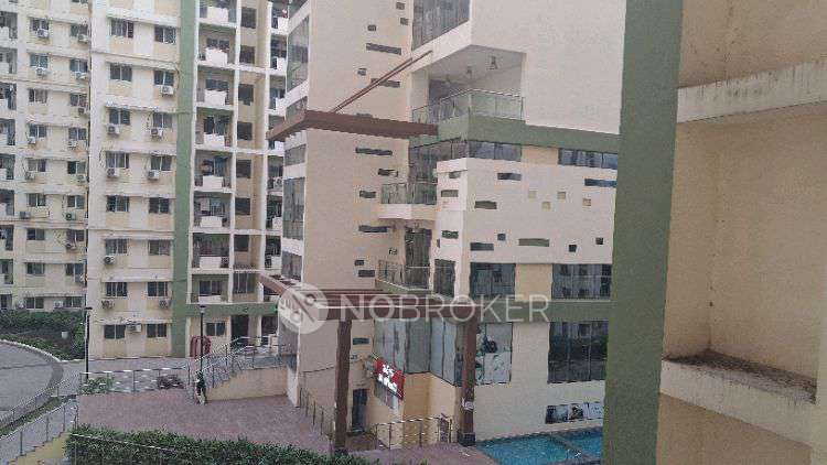Single Room for Female In 3 BHK  In Mantri Celestia In Gachibowli