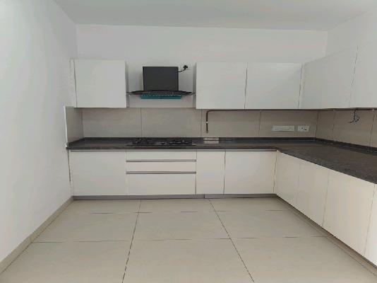 2 BHK Flat In Marvel Ganga Fria Phase2, Wagholi for Rent  In Marvel Ganga Fria