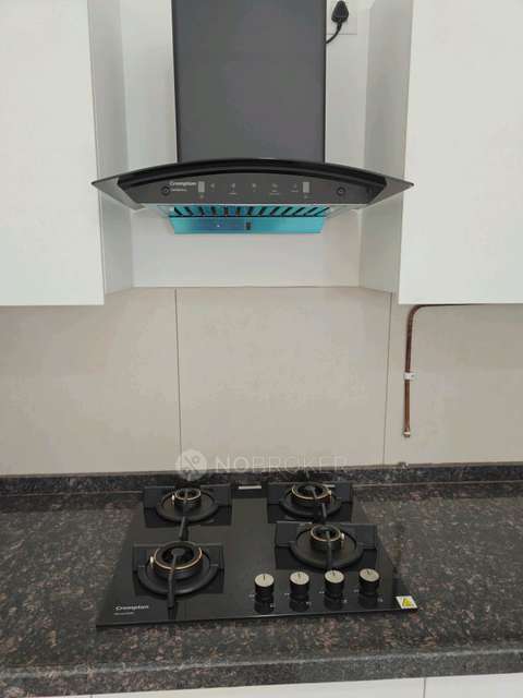 2 BHK Flat In Marvel Ganga Fria Phase2, Wagholi for Rent  In Marvel Ganga Fria