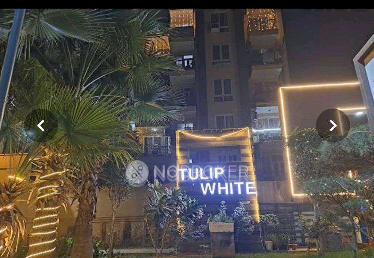 4 BHK Flat In Tulip White for Rent  In Tulip White