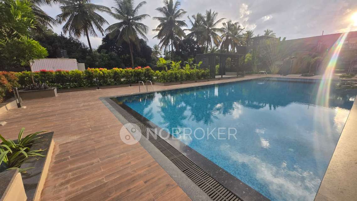 3 BHK Flat In Sattva Bliss For Sale  In  Bommenahalli   