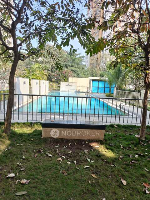 1 BHK Flat In Gera Adara Hinjewadi for Rent  In Hinjawadi Phase Ii