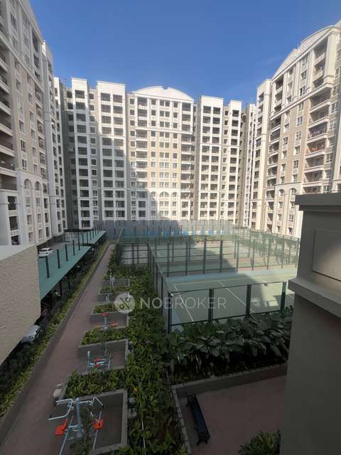 2 BHK Flat In Nyati Era for Rent  In Nyati Era