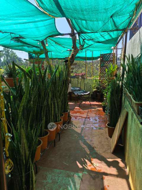 1 RK House for Rent  In Yamuna Nagar