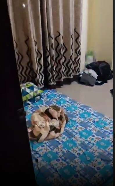 1 BHK Flat In Namrata Yashwantnagar Plus for Rent  In Yashwant Nagar Plus