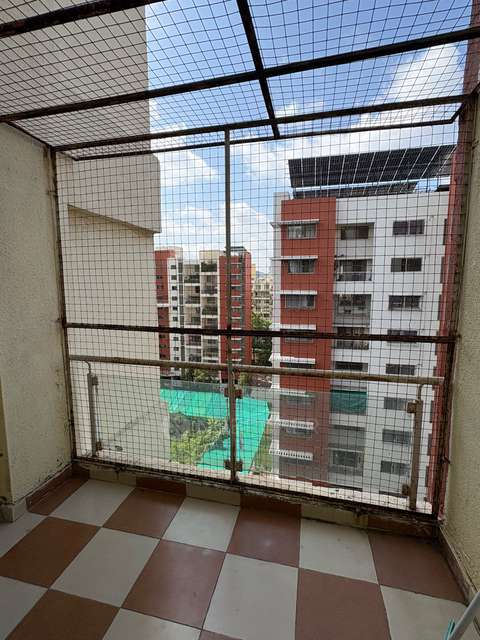 Single Room for Male In 2 BHK  In Palladion Apartment In Baner