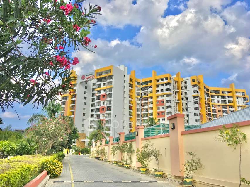 3 BHK Flat In Mantri Synergy For Sale  In Padur,omr