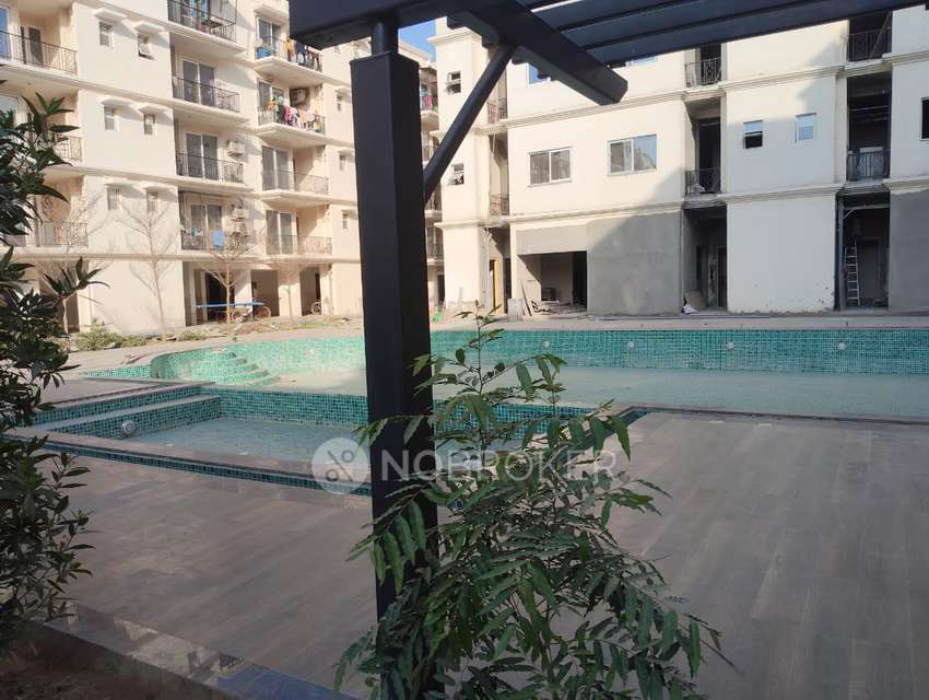 3 BHK Flat In Signature Global Park, Sector 36 For Sale  In Sector 36