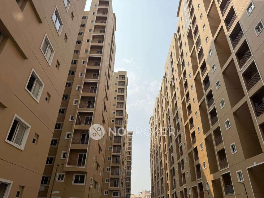 2 BHK Flat In Nebula Aavaas for Rent  In Miyapur