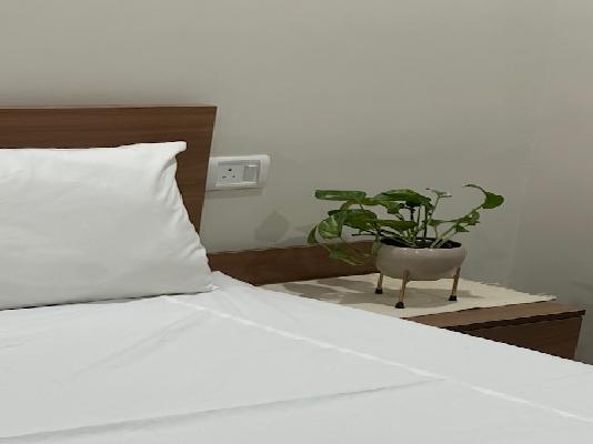 1 RK Flat In The Ivy House for Rent  In Sector 25