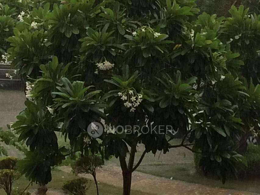 3 BHK Flat In Omaxe Palm Greens For Sale  In Sector Mu