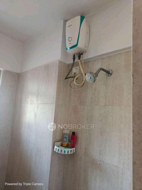1 BHK Flat In Kalpataru Exquisite for Rent  In Wakad