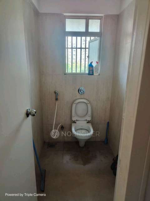 1 BHK Flat In Kalpataru Exquisite for Rent  In Wakad