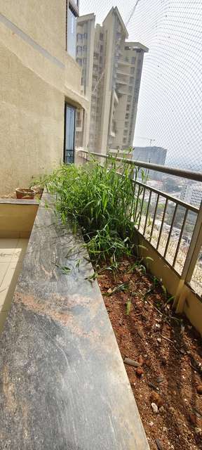 3 BHK Flat In Brigade Exotica  For Sale  In Aavalahalli