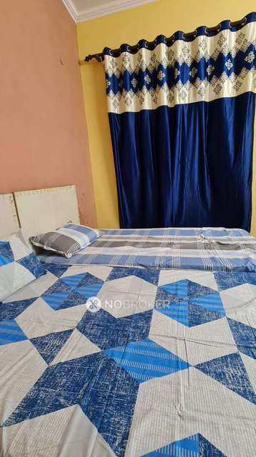 PG for Anyone in Sector 20