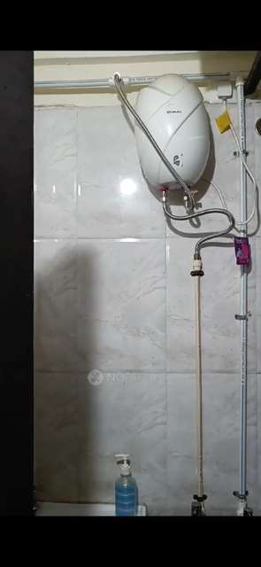 1 BHK Flat In Shri Sadguru Krupa for Rent  In Mahalunge