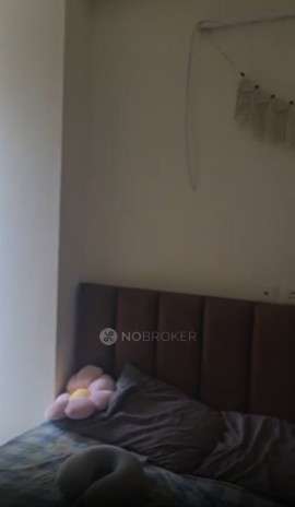 Single Room for Female In 3 BHK  In Golden I In Golden I, Greater Noida