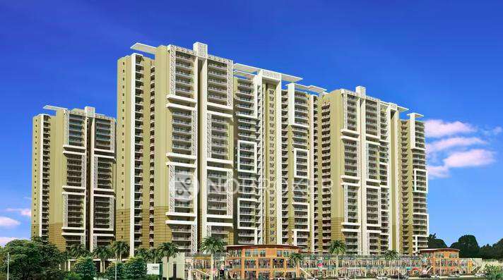 3 BHK Flat In Amrapali Crystal Homes for Rent  In Sector 76
