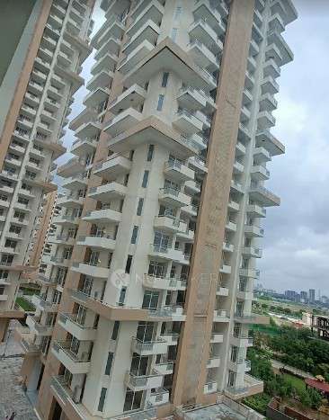 2 BHK Flat In Ss The Leaf  for Rent  In Sector 85