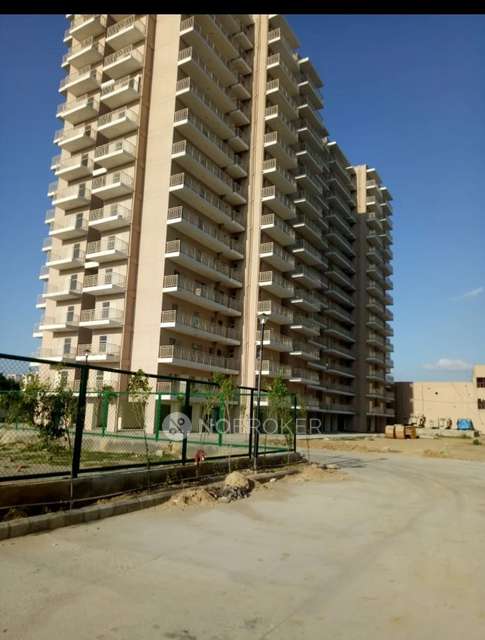 Single Room for Male In 3 BHK  In Adore Happy Homes Grand In Sector 85