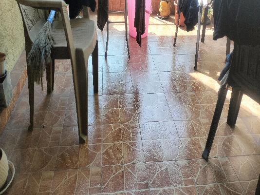 3 BHK Flat In  Wisteriaa Cooperative Housing Society for Rent  In Pimpri-chinchwad